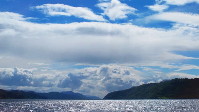 Marine Plan Sea Loch, fight for scotlands nature, national marine parks