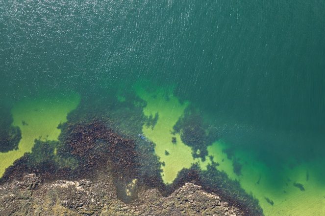 Water quality