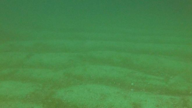 Huge herring spawning ground discovered in Wester Ross